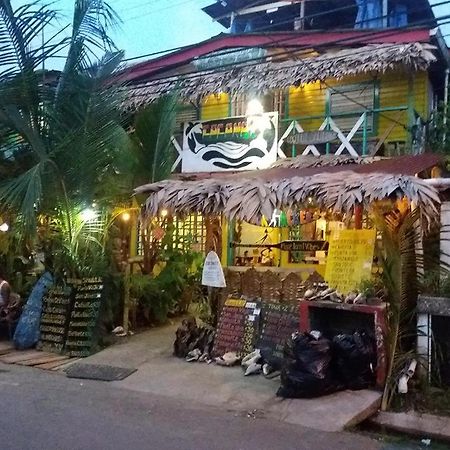 Coconut Hostel Bocas Town المظهر الخارجي الصورة