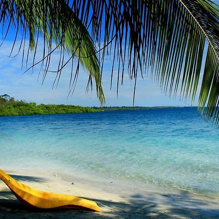 Coconut Hostel Bocas Town المظهر الخارجي الصورة
