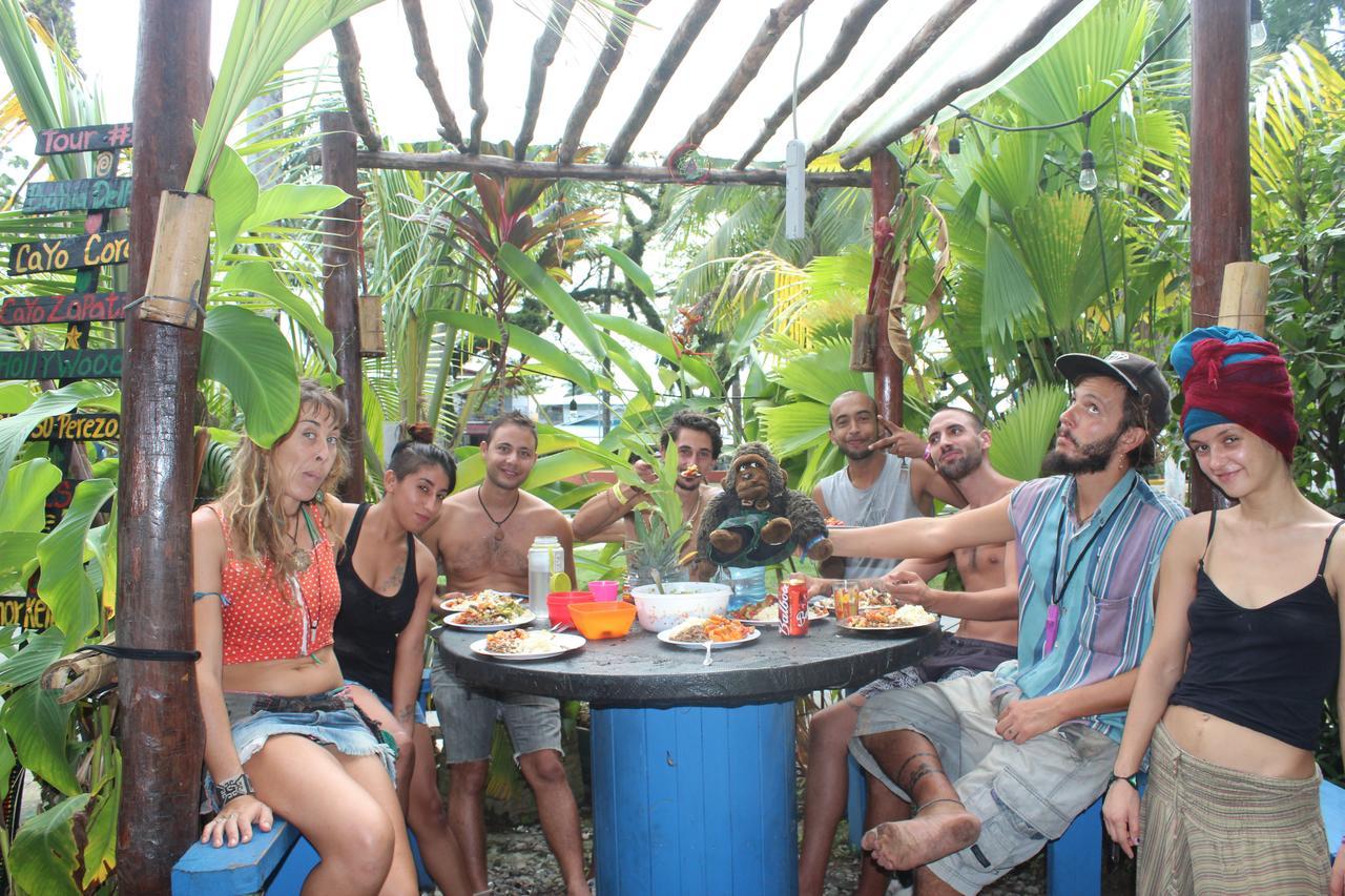 Coconut Hostel Bocas Town المظهر الخارجي الصورة