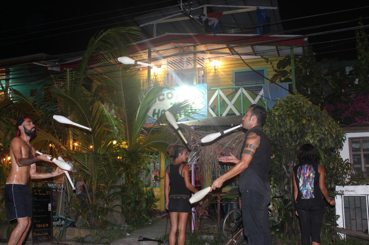 Coconut Hostel Bocas Town المظهر الخارجي الصورة