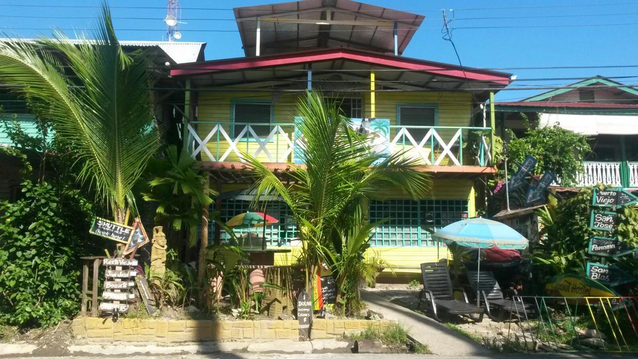 Coconut Hostel Bocas Town المظهر الخارجي الصورة