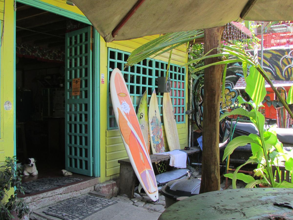 Coconut Hostel Bocas Town المظهر الخارجي الصورة