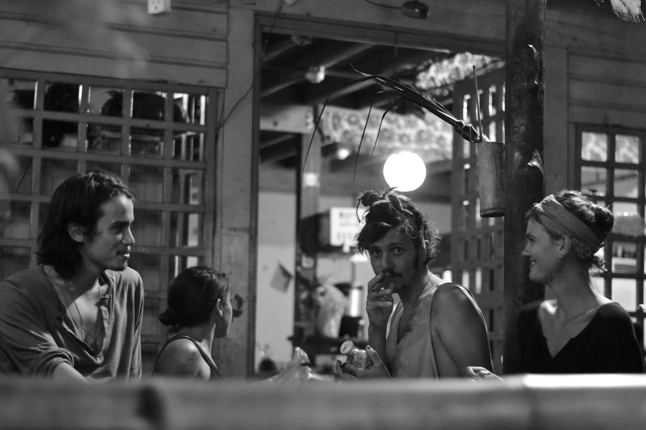 Coconut Hostel Bocas Town المظهر الخارجي الصورة