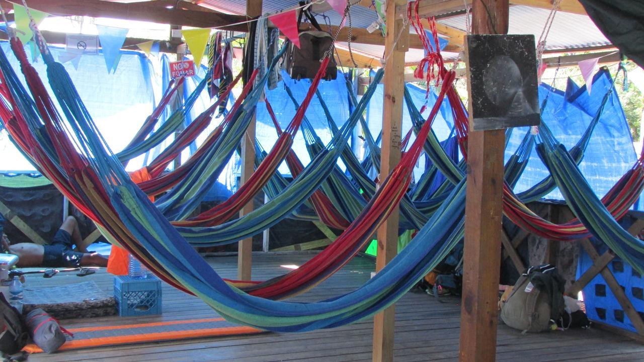 Coconut Hostel Bocas Town المظهر الخارجي الصورة