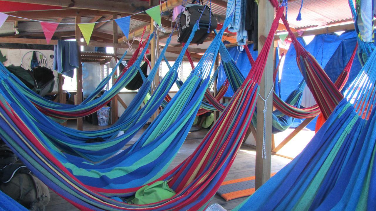 Coconut Hostel Bocas Town المظهر الخارجي الصورة