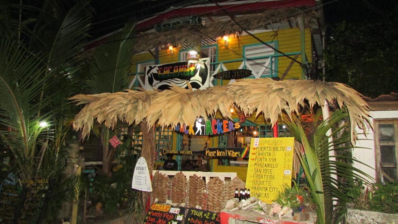 Coconut Hostel Bocas Town المظهر الخارجي الصورة