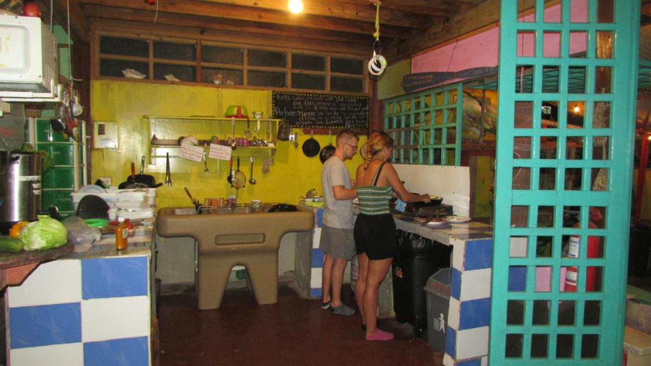 Coconut Hostel Bocas Town المظهر الخارجي الصورة