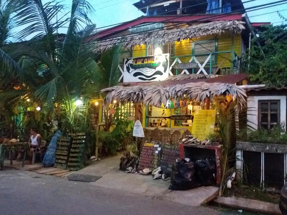 Coconut Hostel Bocas Town المظهر الخارجي الصورة