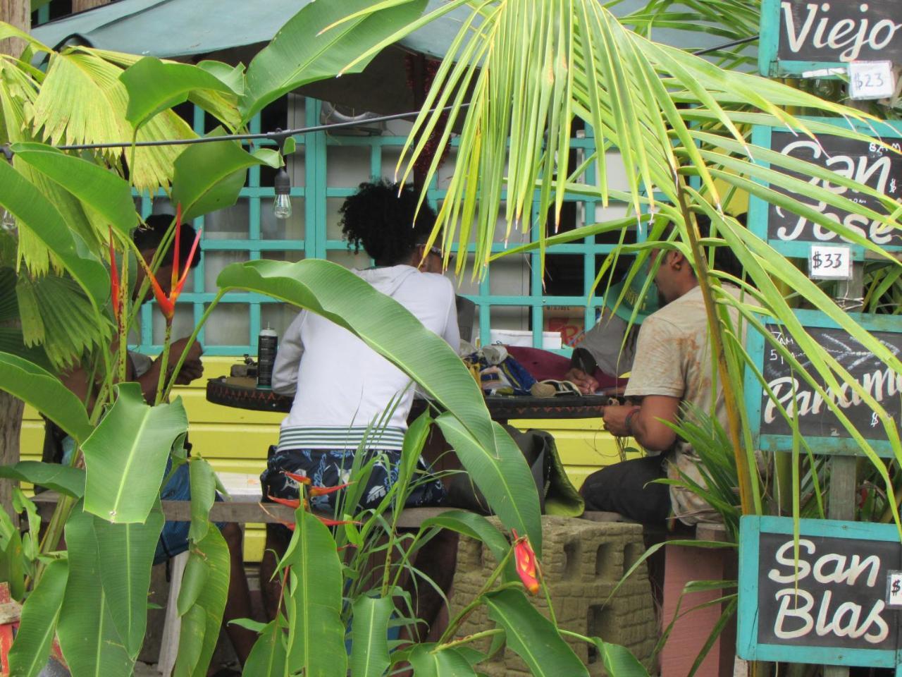 Coconut Hostel Bocas Town المظهر الخارجي الصورة