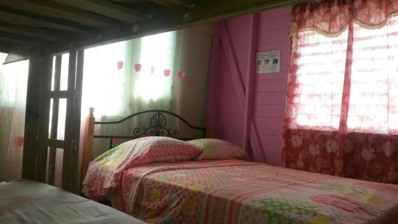 Coconut Hostel Bocas Town المظهر الخارجي الصورة