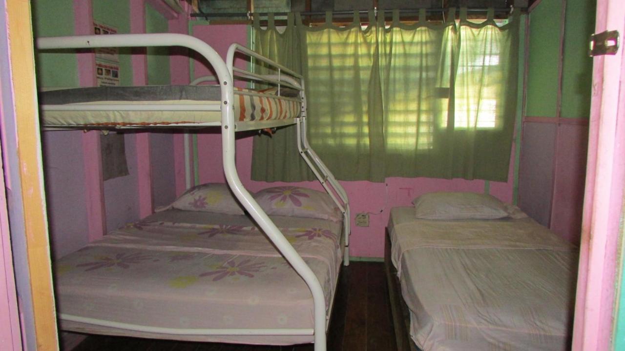 Coconut Hostel Bocas Town المظهر الخارجي الصورة