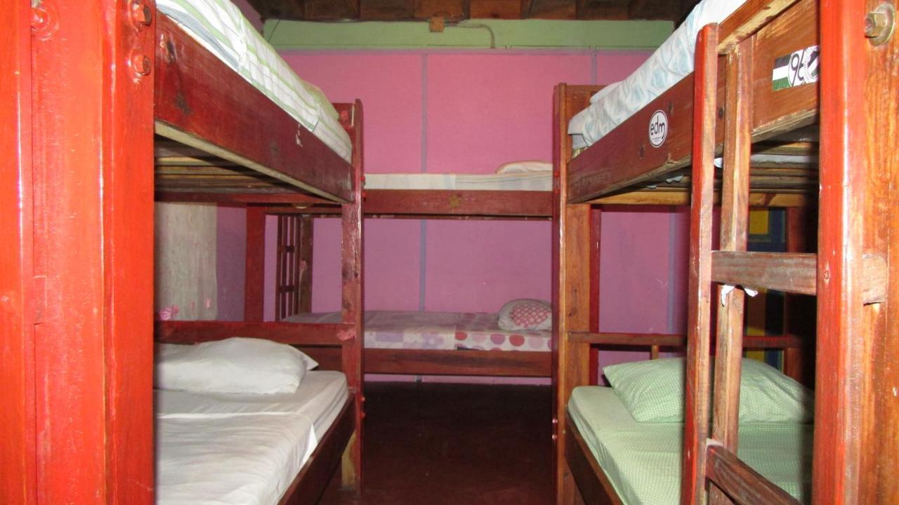 Coconut Hostel Bocas Town المظهر الخارجي الصورة