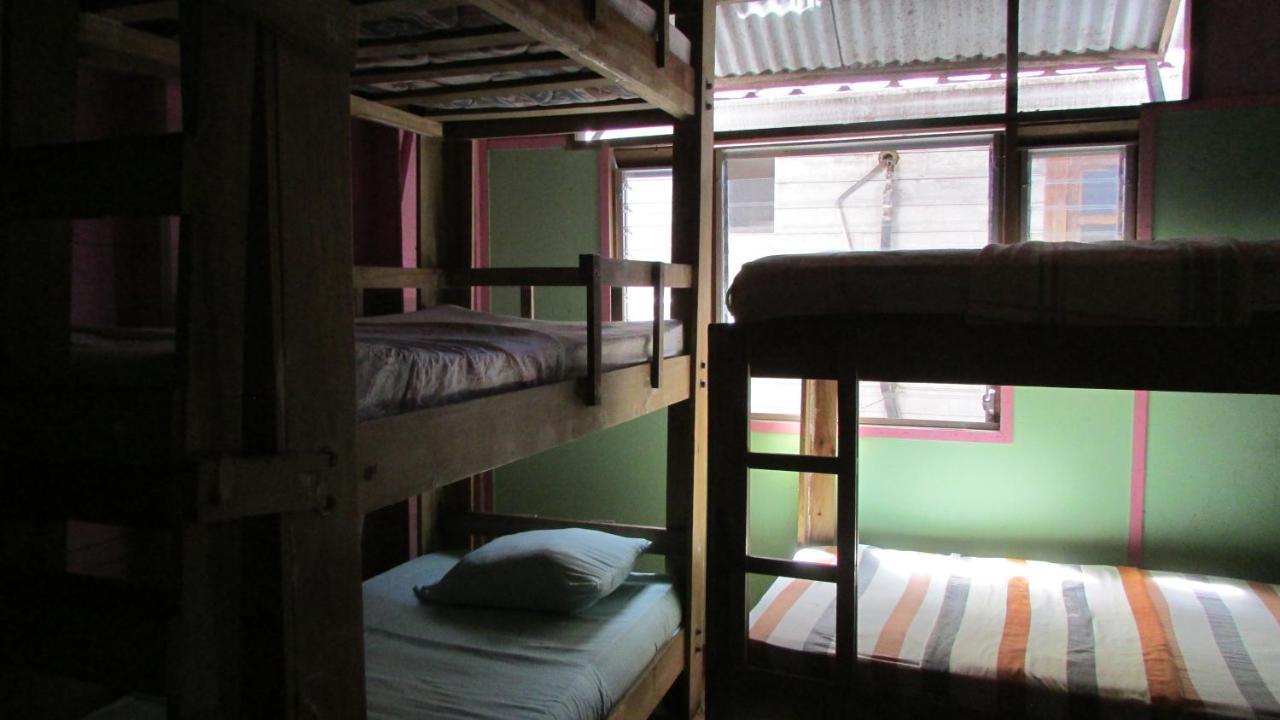 Coconut Hostel Bocas Town المظهر الخارجي الصورة