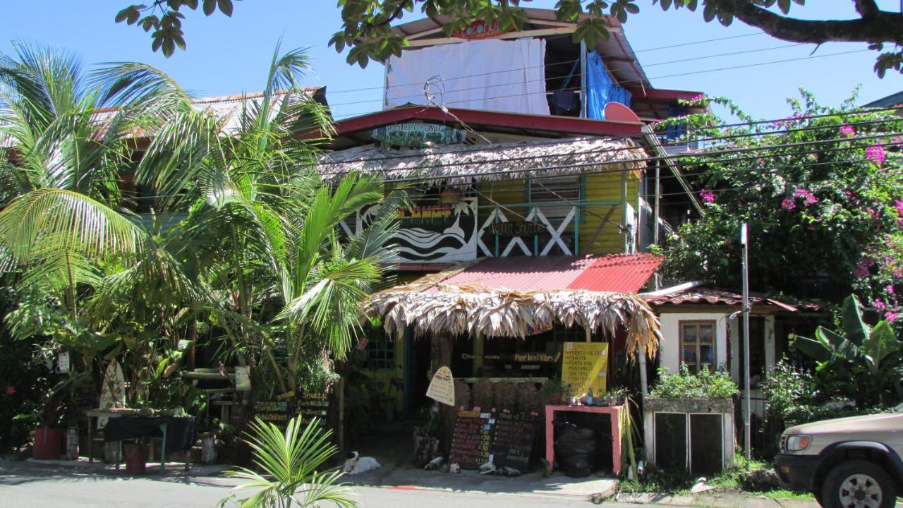 Coconut Hostel Bocas Town المظهر الخارجي الصورة