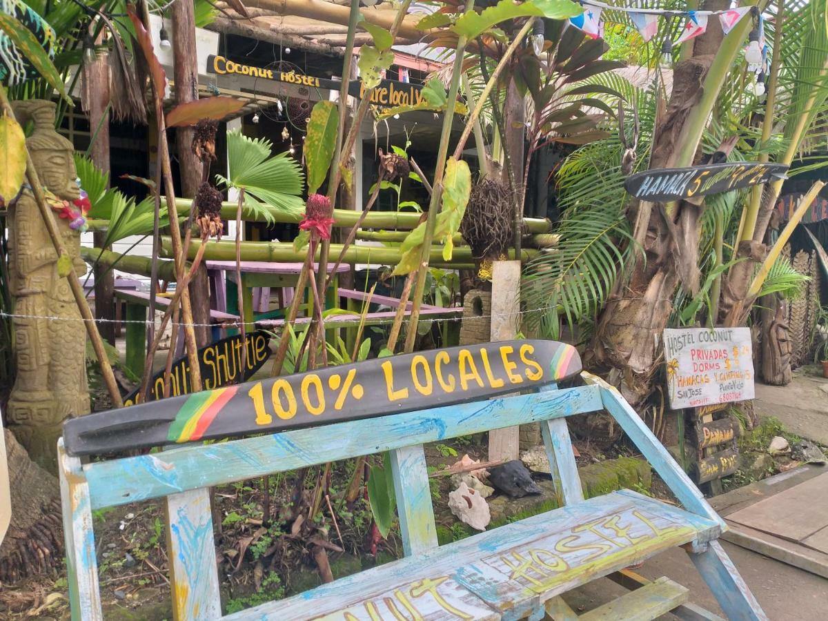 Coconut Hostel Bocas Town المظهر الخارجي الصورة