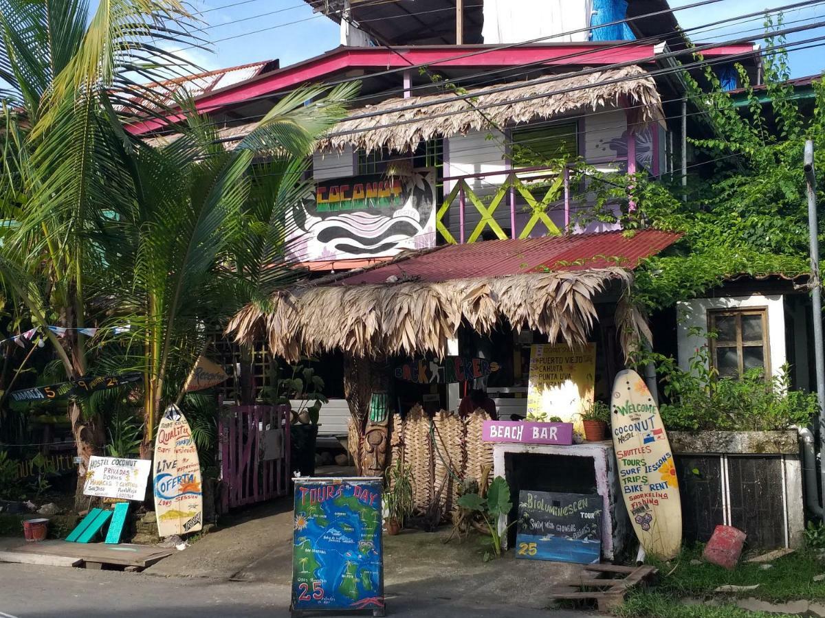 Coconut Hostel Bocas Town المظهر الخارجي الصورة