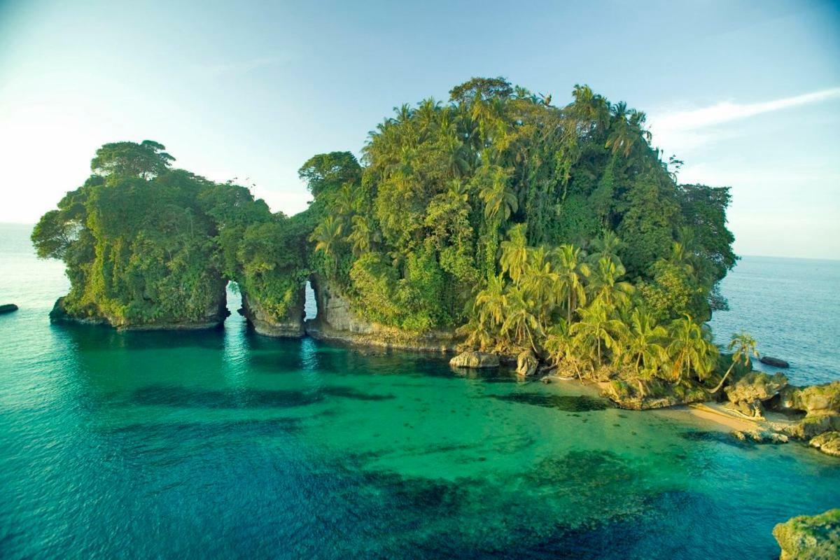 Coconut Hostel Bocas Town المظهر الخارجي الصورة