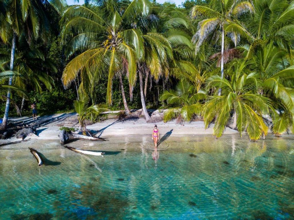 Coconut Hostel Bocas Town المظهر الخارجي الصورة